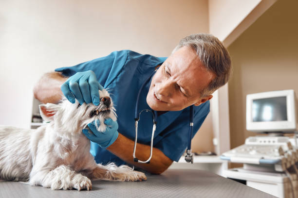 Best Walk-In Emergency Dentist in Moxee, WA
